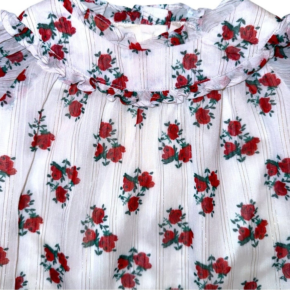 Janie and Jack 18–24 Months Floral Ruffle Blouse NWT Red Rose Top - Picture 2 of 10